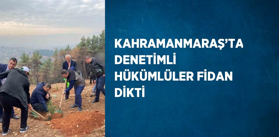 KAHRAMANMARAŞ’TA DENETİMLİ HÜKÜMLÜLER FİDAN DİKTİ