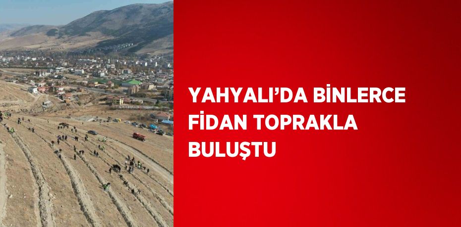 YAHYALI’DA BİNLERCE FİDAN TOPRAKLA BULUŞTU