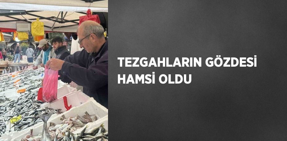 TEZGAHLARIN GÖZDESİ HAMSİ OLDU