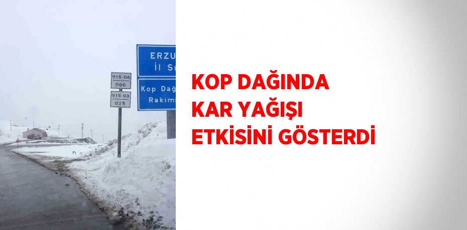 KOP DAĞINDA KAR YAĞIŞI ETKİSİNİ GÖSTERDİ