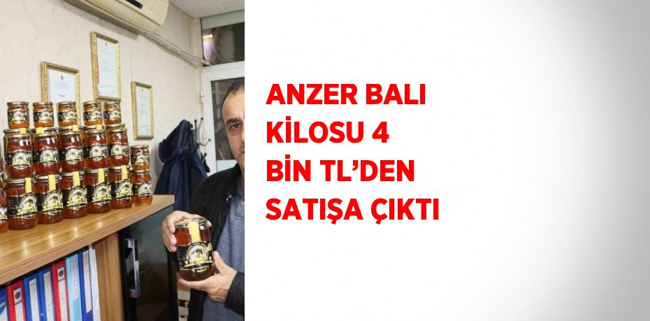 ANZER BALI KİLOSU 4 BİN TL’DEN SATIŞA ÇIKTI