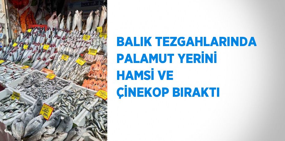 BALIK TEZGAHLARINDA PALAMUT YERİNİ HAMSİ VE ÇİNEKOP BIRAKTI