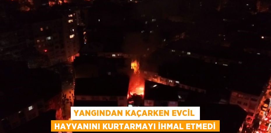 YANGINDAN KAÇARKEN EVCİL HAYVANINI KURTARMAYI İHMAL ETMEDİ