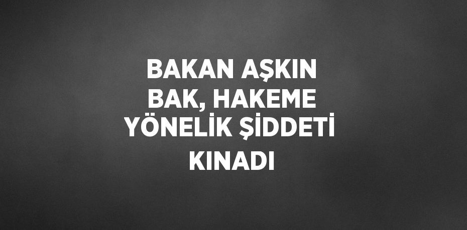 BAKAN AŞKIN BAK, HAKEME YÖNELİK ŞİDDETİ KINADI