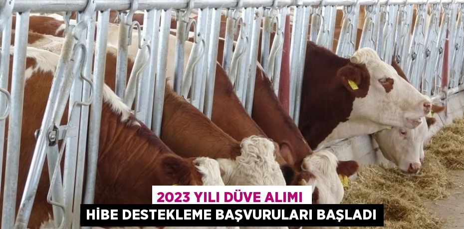 2023 YILI DÜVE ALIMI HİBE DESTEKLEME BAŞVURULARI BAŞLADI