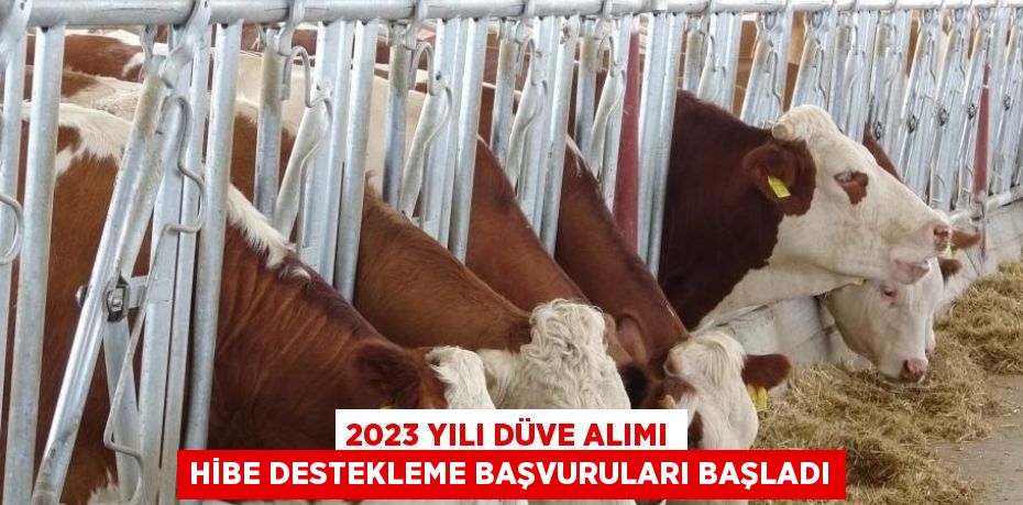 2023 YILI DÜVE ALIMI HİBE DESTEKLEME BAŞVURULARI BAŞLADI