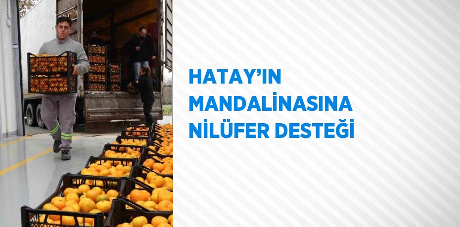 HATAY’IN MANDALİNASINA NİLÜFER DESTEĞİ