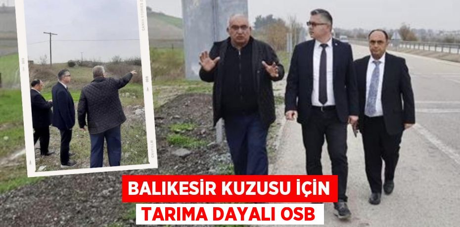 BALIKESİR KUZUSU İÇİN TARIMA DAYALI OSB