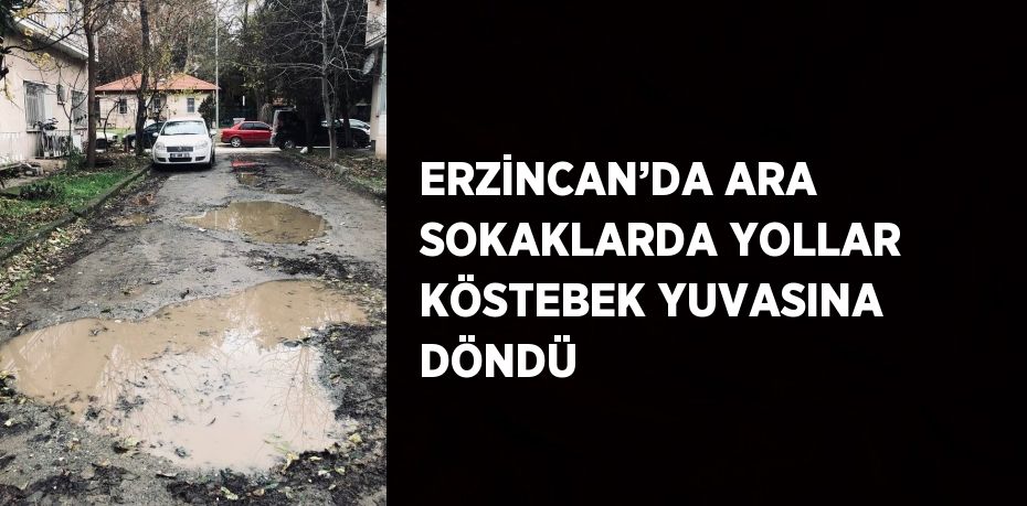 ERZİNCAN’DA ARA SOKAKLARDA YOLLAR KÖSTEBEK YUVASINA DÖNDÜ