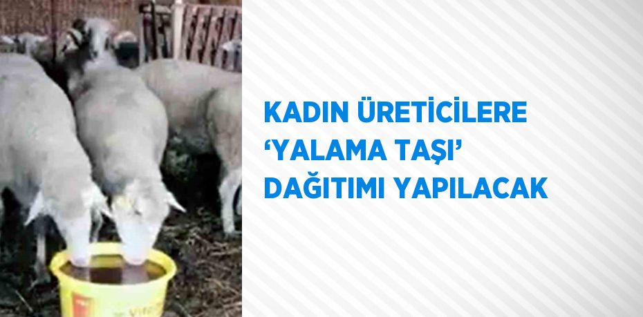 KADIN ÜRETİCİLERE ‘YALAMA TAŞI’ DAĞITIMI YAPILACAK