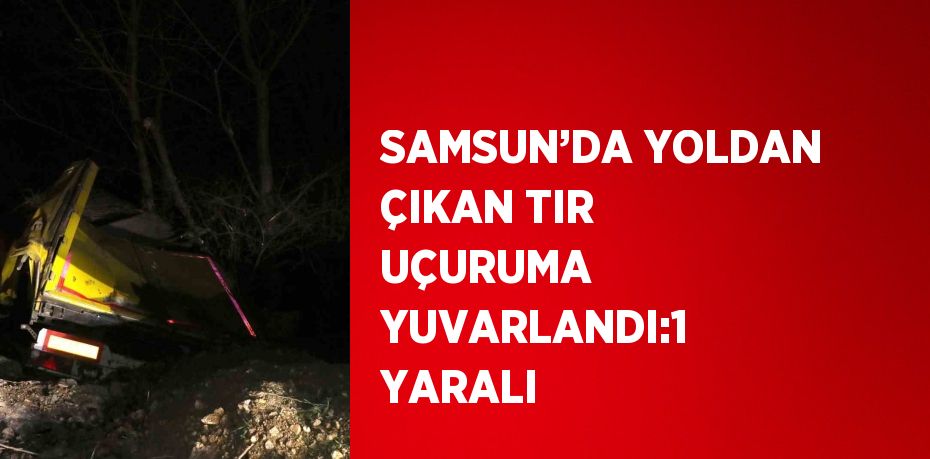 SAMSUN’DA YOLDAN ÇIKAN TIR UÇURUMA YUVARLANDI:1 YARALI