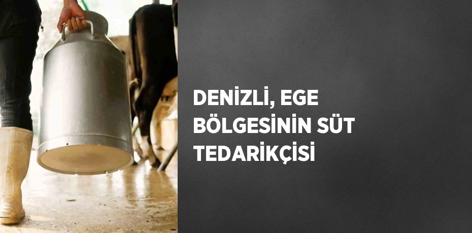 DENİZLİ, EGE BÖLGESİNİN SÜT TEDARİKÇİSİ