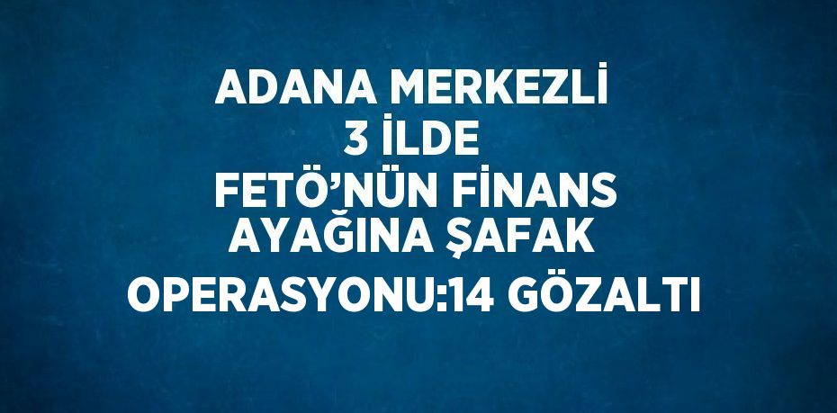 ADANA MERKEZLİ 3 İLDE FETÖ’NÜN FİNANS AYAĞINA ŞAFAK OPERASYONU:14 GÖZALTI