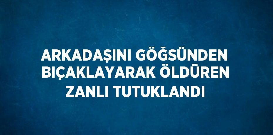 ARKADAŞINI GÖĞSÜNDEN BIÇAKLAYARAK ÖLDÜREN ZANLI TUTUKLANDI