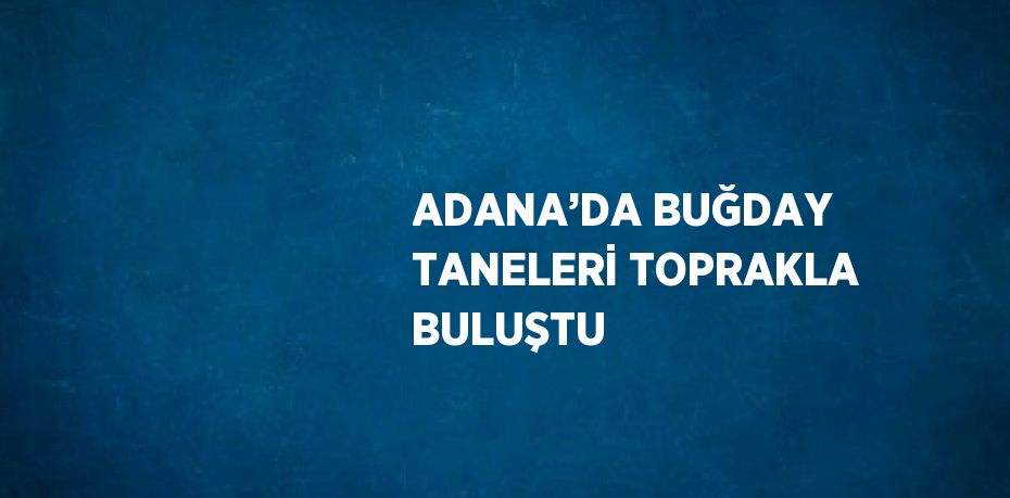 ADANA’DA BUĞDAY TANELERİ TOPRAKLA BULUŞTU