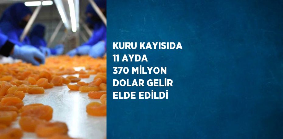 KURU KAYISIDA 11 AYDA 370 MİLYON DOLAR GELİR ELDE EDİLDİ