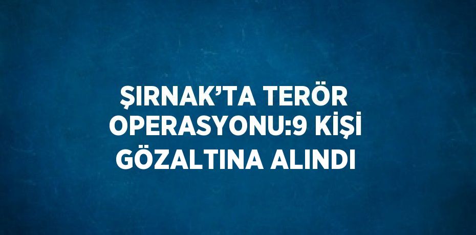 ŞIRNAK’TA TERÖR OPERASYONU:9 KİŞİ GÖZALTINA ALINDI