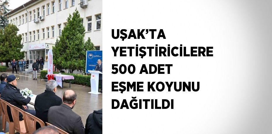 UŞAK’TA YETİŞTİRİCİLERE 500 ADET EŞME KOYUNU DAĞITILDI