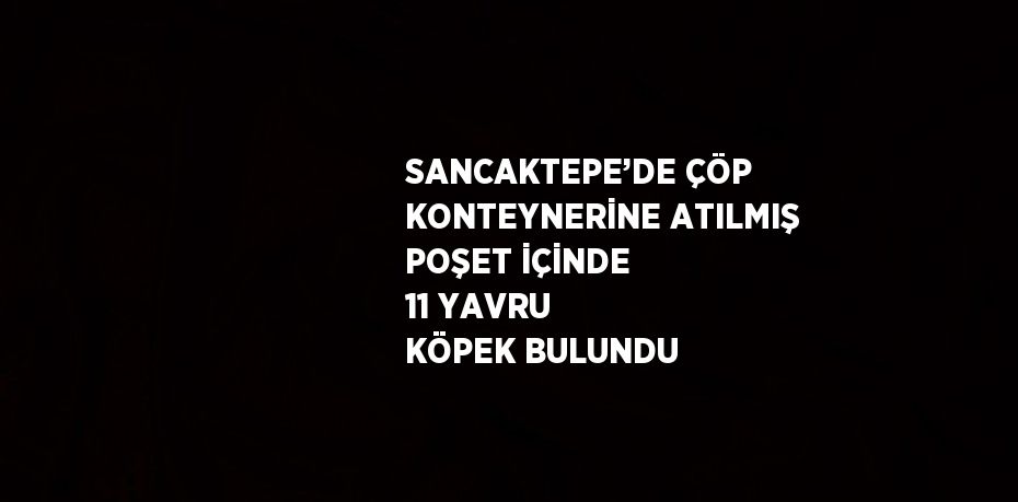 SANCAKTEPE’DE ÇÖP KONTEYNERİNE ATILMIŞ POŞET İÇİNDE 11 YAVRU KÖPEK BULUNDU