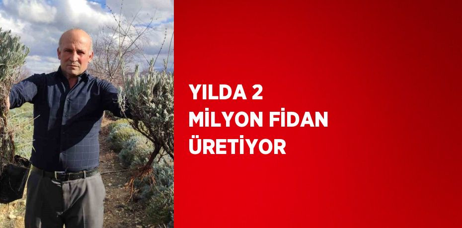 YILDA 2 MİLYON FİDAN ÜRETİYOR