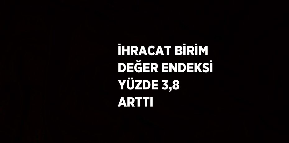 İHRACAT BİRİM DEĞER ENDEKSİ YÜZDE 3,8 ARTTI