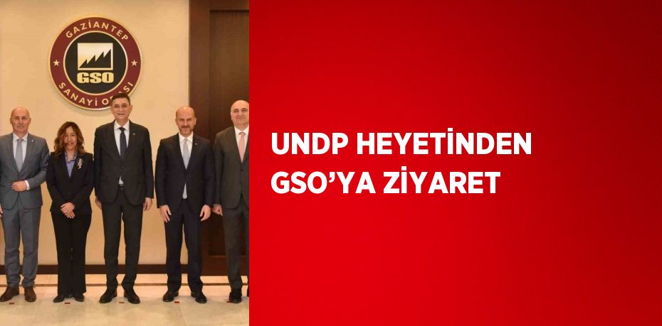 UNDP HEYETİNDEN GSO’YA ZİYARET