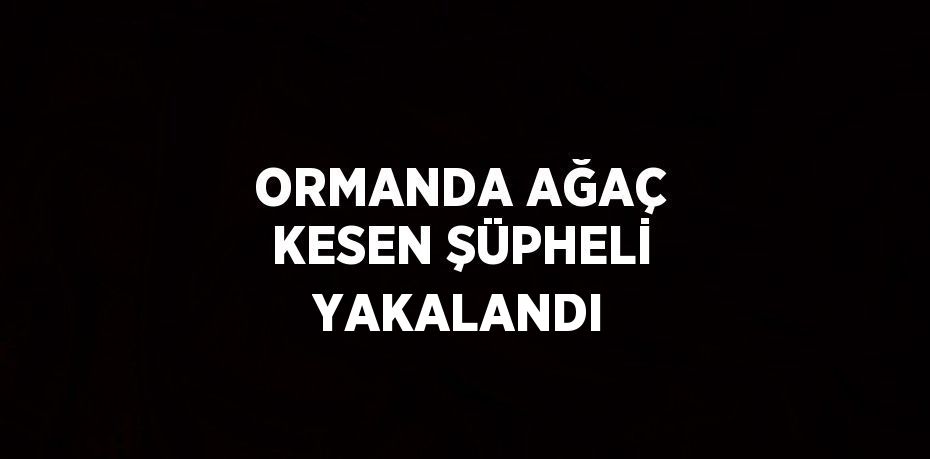 ORMANDA AĞAÇ KESEN ŞÜPHELİ YAKALANDI