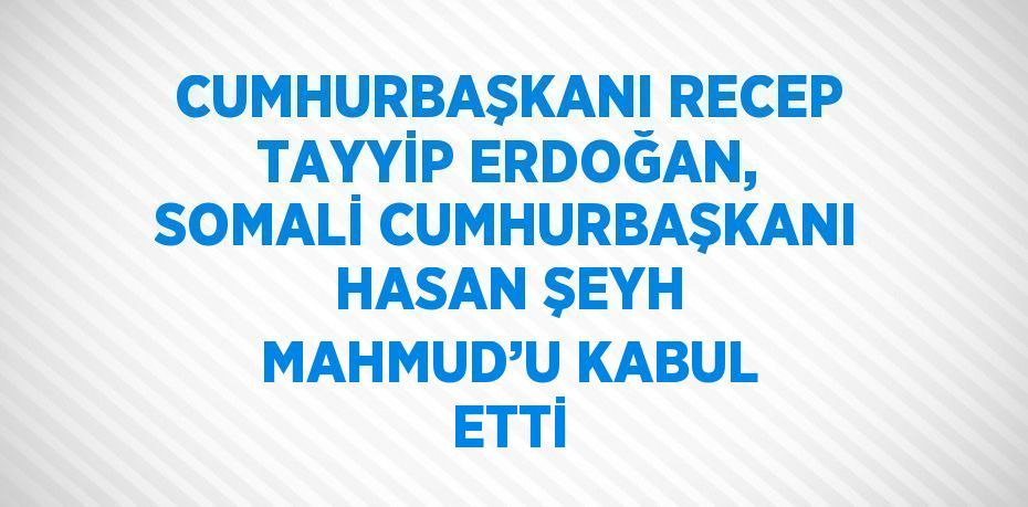 CUMHURBAŞKANI RECEP TAYYİP ERDOĞAN, SOMALİ CUMHURBAŞKANI HASAN ŞEYH MAHMUD’U KABUL ETTİ