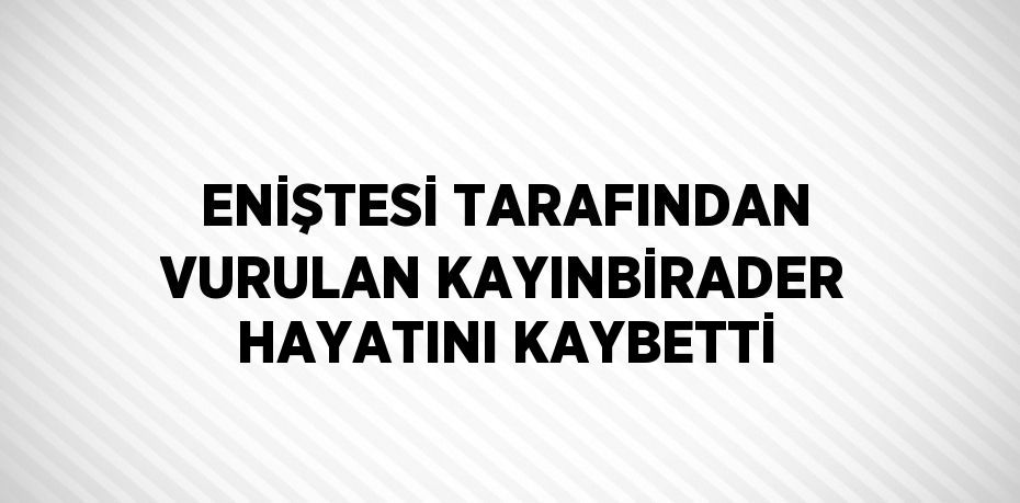 ENİŞTESİ TARAFINDAN VURULAN KAYINBİRADER HAYATINI KAYBETTİ