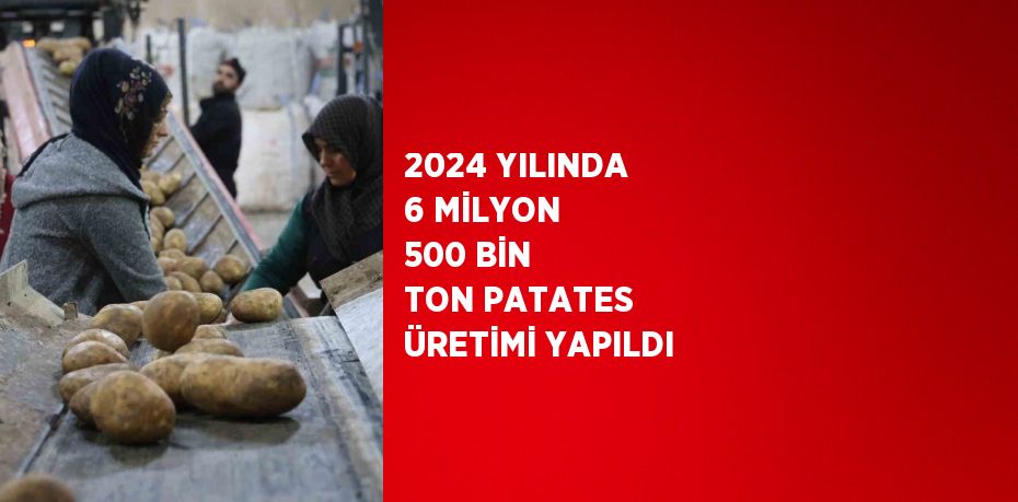 2024 YILINDA 6 MİLYON 500 BİN TON PATATES ÜRETİMİ YAPILDI