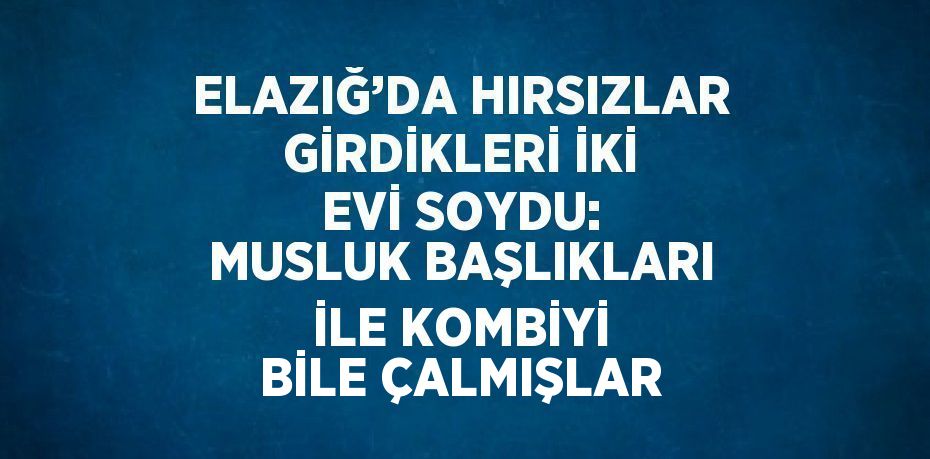 ELAZIĞ’DA HIRSIZLAR GİRDİKLERİ İKİ EVİ SOYDU: MUSLUK BAŞLIKLARI İLE KOMBİYİ BİLE ÇALMIŞLAR