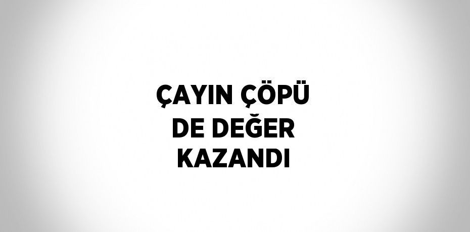 ÇAYIN ÇÖPÜ DE DEĞER KAZANDI