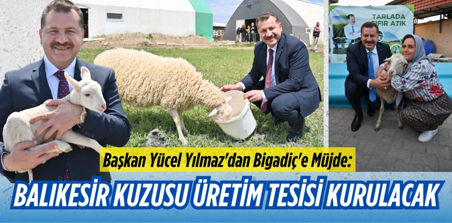 Başkan Yücel Yılmaz'dan Bigadiç'e Müjde:  BALIKESİR KUZUSU ÜRETİM TESİSİ KURULACAK