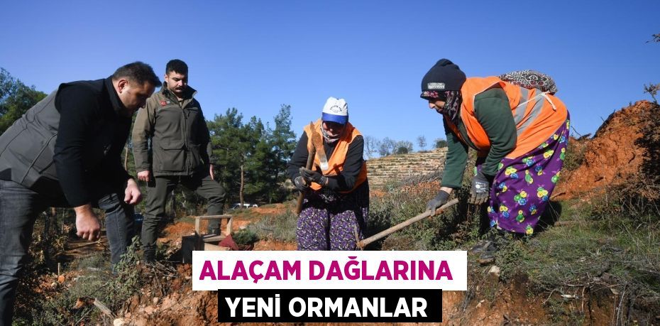 ALAÇAM DAĞLARINA YENİ ORMANLAR