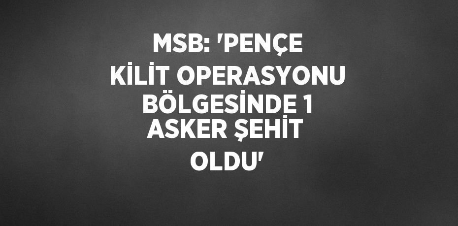 MSB: 'PENÇE KİLİT OPERASYONU BÖLGESİNDE 1 ASKER ŞEHİT OLDU'