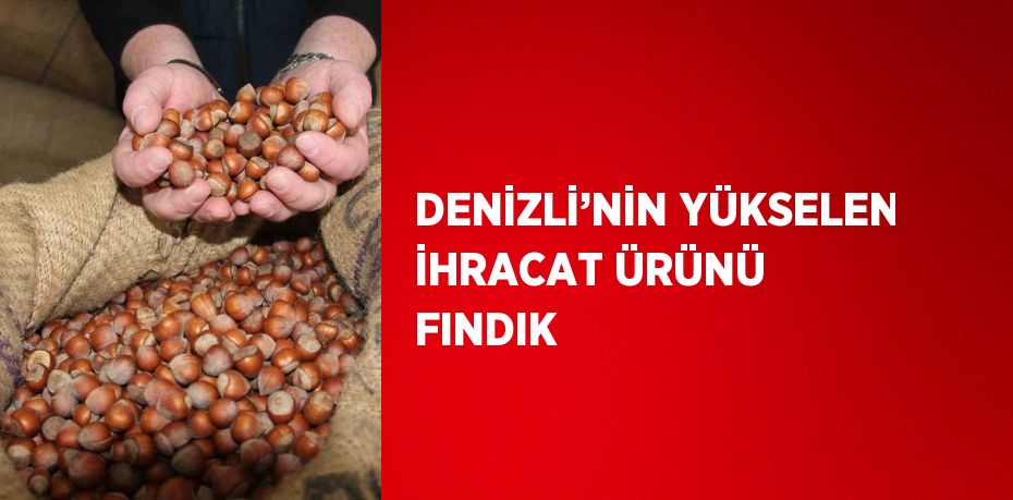 DENİZLİ’NİN YÜKSELEN İHRACAT ÜRÜNÜ FINDIK