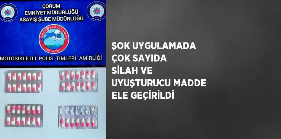 ŞOK UYGULAMADA ÇOK SAYIDA SİLAH VE UYUŞTURUCU MADDE ELE GEÇİRİLDİ