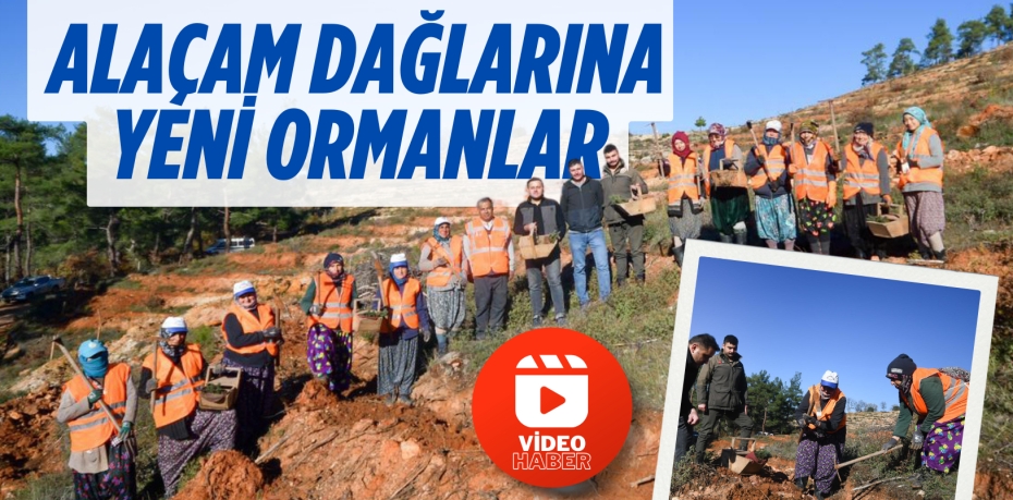 ALAÇAM DAĞLARINA YENİ ORMANLAR