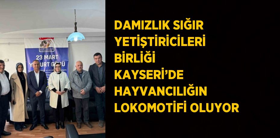 DAMIZLIK SIĞIR YETİŞTİRİCİLERİ BİRLİĞİ KAYSERİ’DE HAYVANCILIĞIN LOKOMOTİFİ OLUYOR