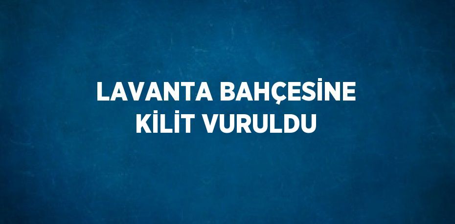 LAVANTA BAHÇESİNE KİLİT VURULDU