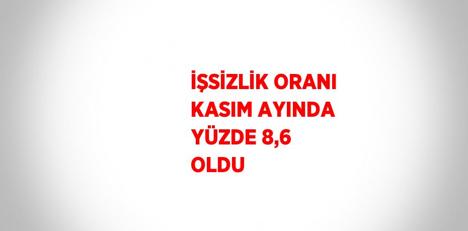 İŞSİZLİK ORANI KASIM AYINDA YÜZDE 8,6 OLDU