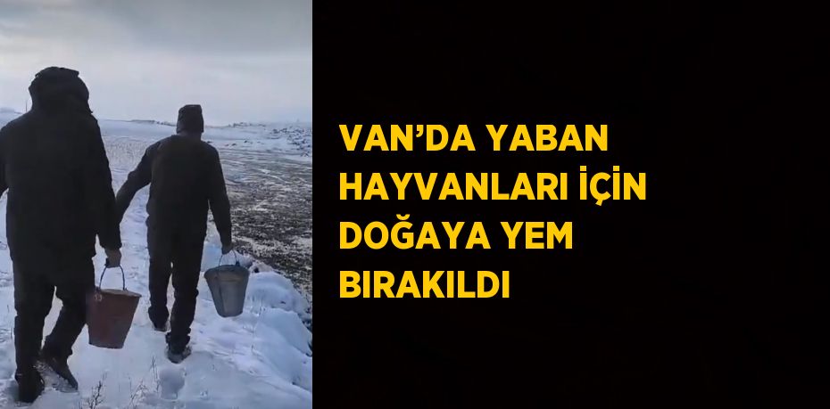 VAN’DA YABAN HAYVANLARI İÇİN DOĞAYA YEM BIRAKILDI