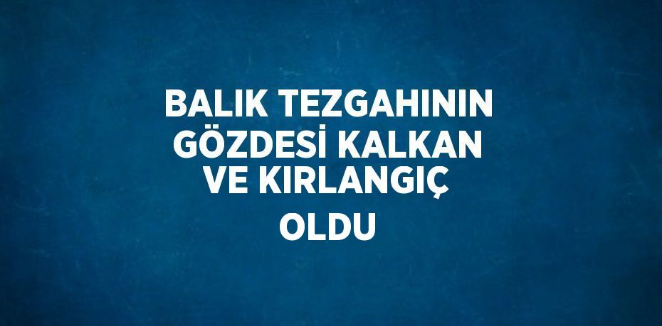 BALIK TEZGAHININ GÖZDESİ KALKAN VE KIRLANGIÇ OLDU