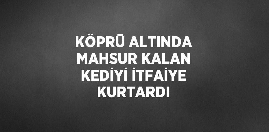 KÖPRÜ ALTINDA MAHSUR KALAN KEDİYİ İTFAİYE KURTARDI