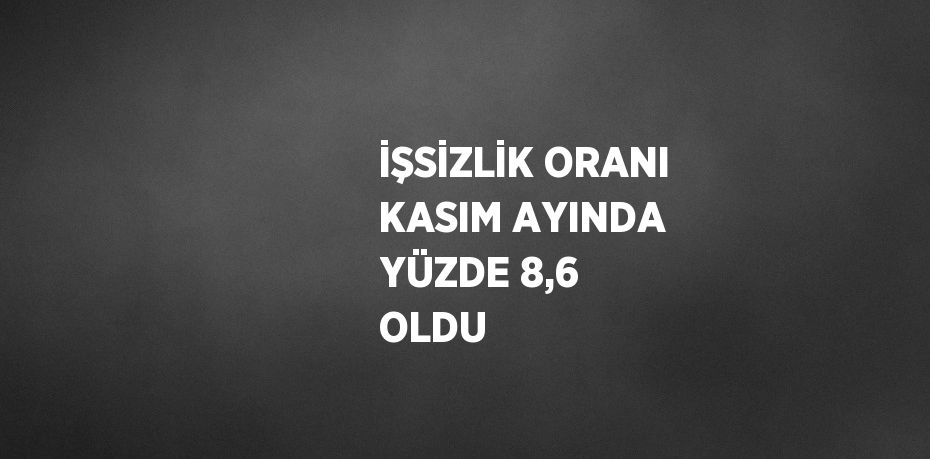 İŞSİZLİK ORANI KASIM AYINDA YÜZDE 8,6 OLDU