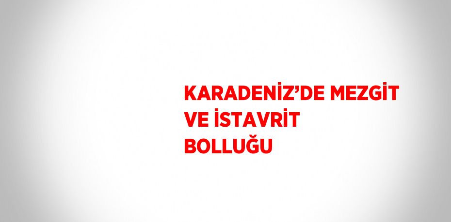 KARADENİZ’DE MEZGİT VE İSTAVRİT BOLLUĞU