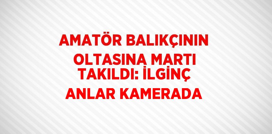 AMATÖR BALIKÇININ OLTASINA MARTI TAKILDI: İLGİNÇ ANLAR KAMERADA