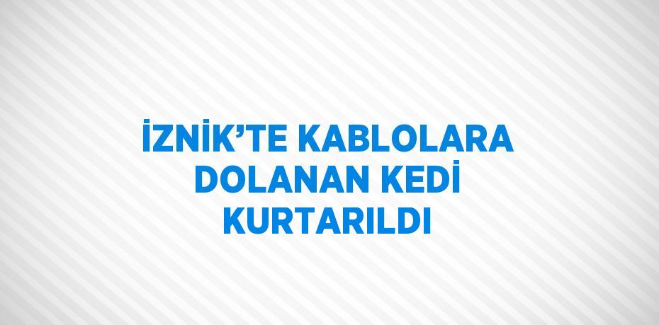 İZNİK’TE KABLOLARA DOLANAN KEDİ KURTARILDI