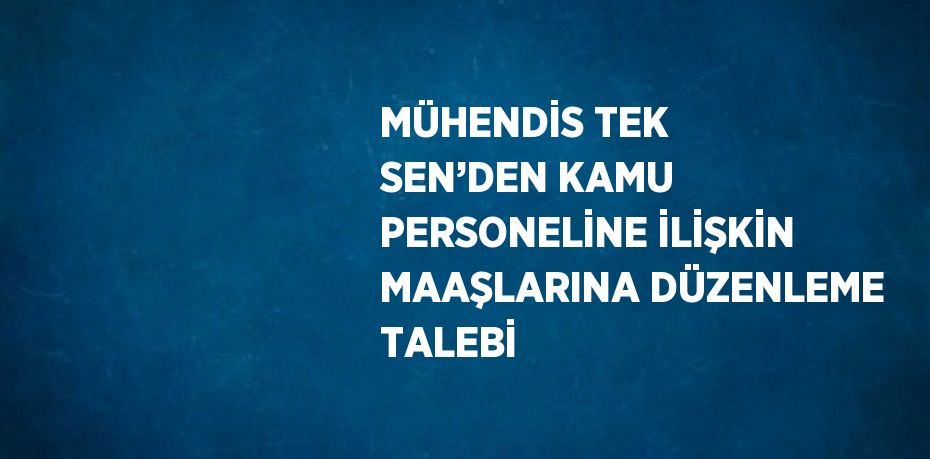 MÜHENDİS TEK SEN’DEN KAMU PERSONELİNE İLİŞKİN MAAŞLARINA DÜZENLEME TALEBİ