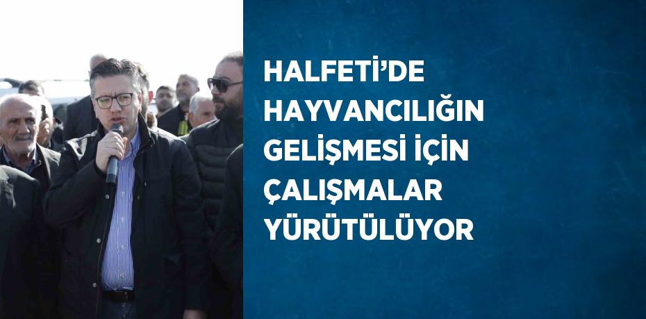 HALFETİ’DE HAYVANCILIĞIN GELİŞMESİ İÇİN ÇALIŞMALAR YÜRÜTÜLÜYOR